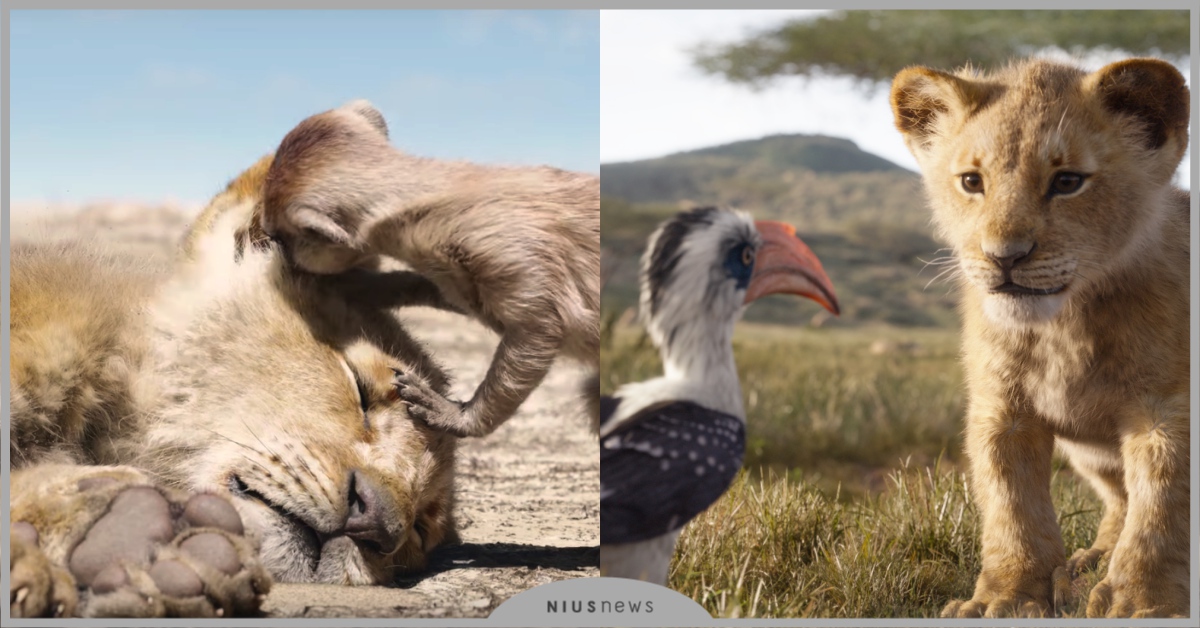 《獅子王》好朋友初見辛巴以為是寵物！彭彭承諾撿屎、丁滿發現真相嚇到彈飛三呎！ 獅子王、彭彭、丁滿、辛巴、動畫、電影、迪士尼