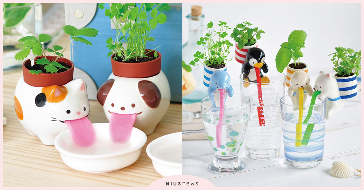 「聖新陶芸 SEISHIN」超萌創意小植栽，可愛的模樣療癒了一整天上班的辛苦呢！ 剁手指、植栽、花盆、聖新陶芸、SEISHIN、粉色選物店