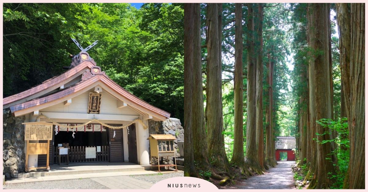 超過千年歷史！長野縣戶隱神社交通、特色、參拜大解析！ 長野縣、戶隱神社、日本、神社