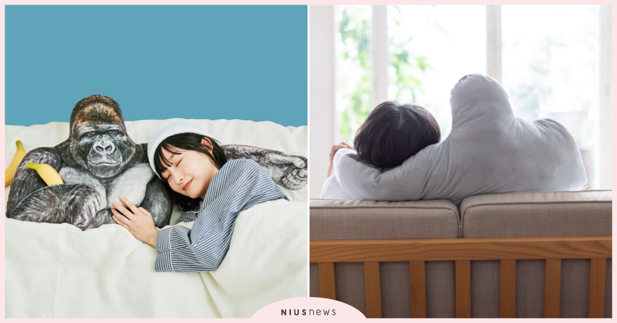 日本推出男友力大爆發「大猩猩臂彎靠枕」！單身者抱起來夜晚睡覺不怕寂寞 日本、大猩猩、抱枕、男友力、單身、felissimo、東山動植物園