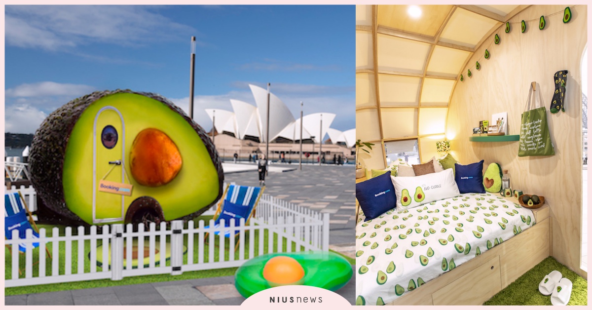 半顆酪梨外觀設計超搶眼！「全球首座酪梨小屋」限定開放，清新療癒滿分不住嗎？ 酪梨小屋、雪梨、澳洲、酪梨控、Booking.com、限定