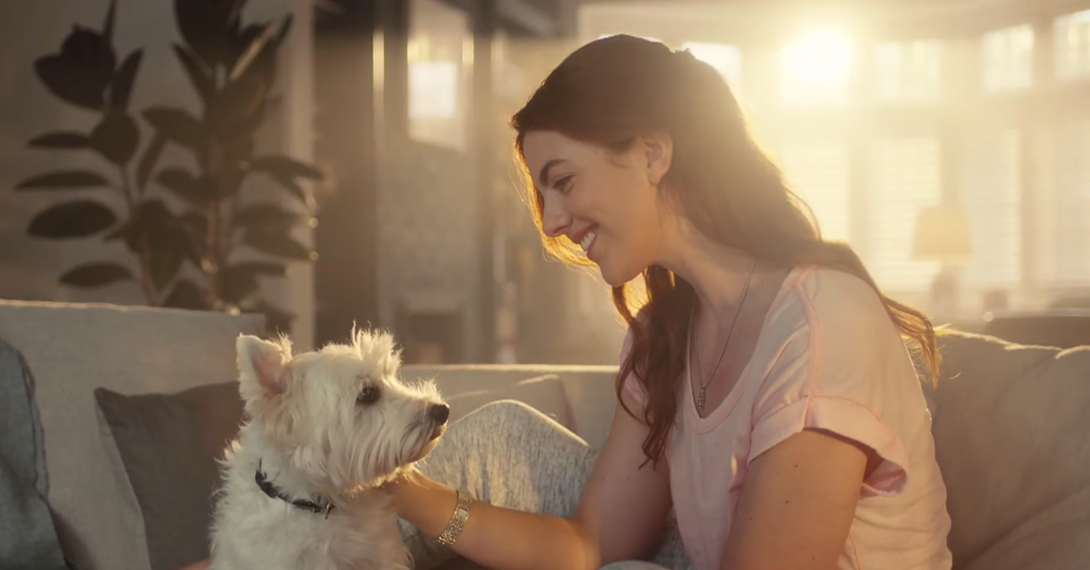 不是那麼想參加的聚會、無聊的飯局，只想在家好好放鬆，你需要的是這個！ 西沙、寵物