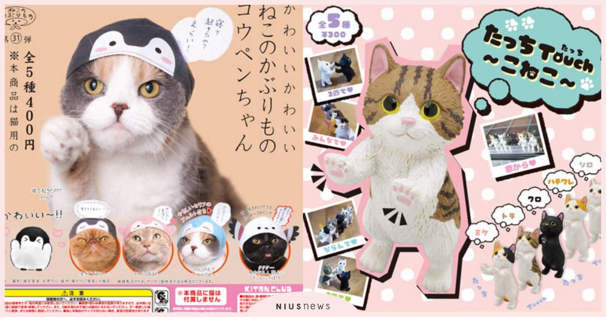 貓奴慎入！奇譚俱樂部新逗趣扭蛋，超療癒 Touch小貓、頭套貓，呆萌指數破表！ 奇譚俱樂部、扭蛋、貓奴