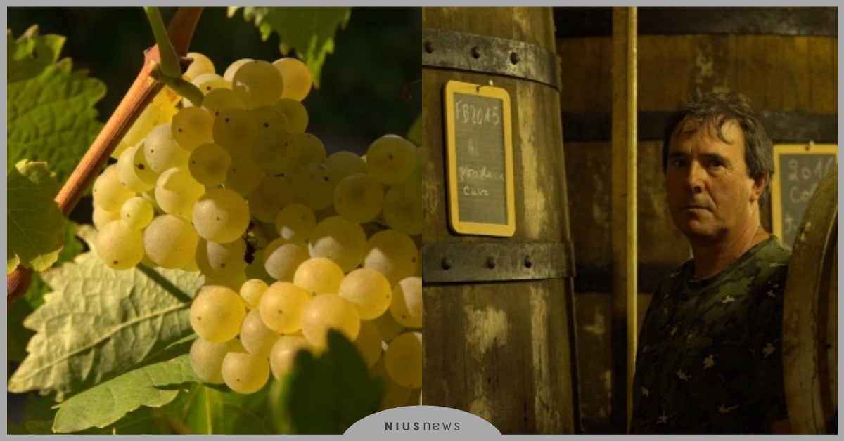 有如進入電影情節啊！《影酒人》如何拍出葡萄酒的神髓？用「鏡頭」說出佳釀的故事 葡萄酒、酒莊、攝影、酒窖、影酒人