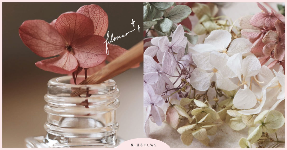 「自製浮游花」讓空瓶美美重生！快看身邊是否有不要的瓶子啊 浮游花、空瓶、DIY、小學堂