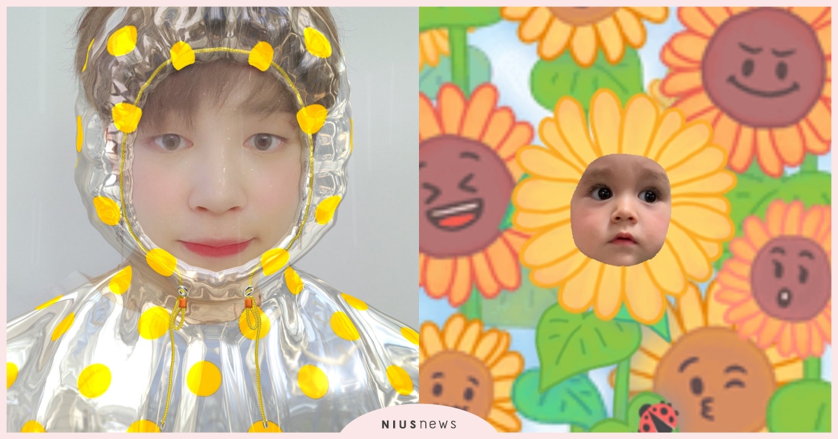 韓國愛豆都在玩「穿雨衣」、「向日葵」！臉部特效App《SNOW》手把手教學 SNOW、SNOW雨衣特效、SNOW向日葵特效、韓星app、臉部特效App