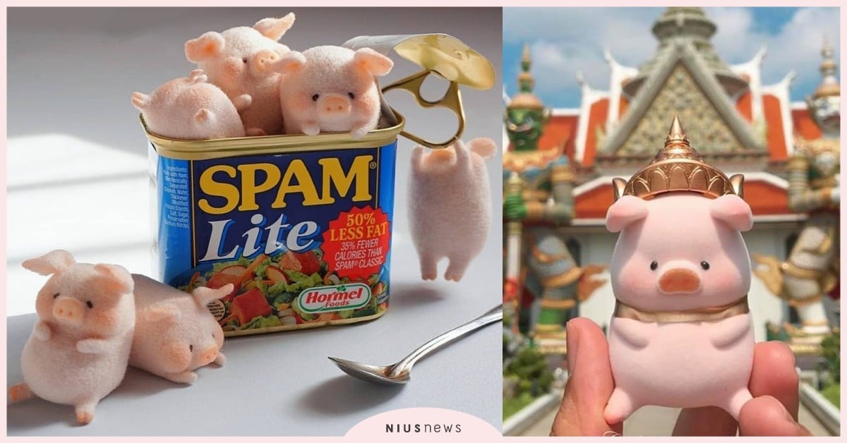 怎麼可以吃豬豬！午餐肉罐頭裡藏療癒「LuLu豬」，可愛模樣好想一口咬下去！ Lulu豬、罐頭豬、午餐肉罐頭、cici's storcy