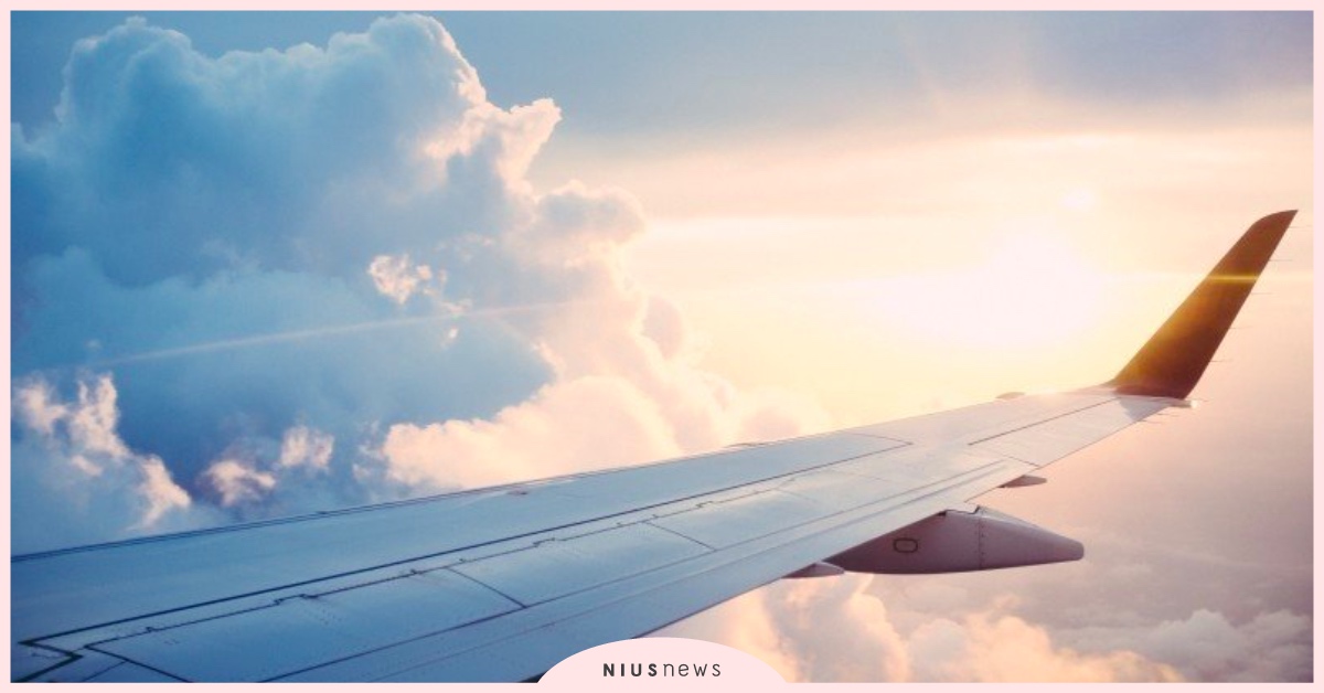 空服員們的愛情雜症╳何謂完美女友 飛機、空服員、完美女友、小說、驚悚、讀讀書