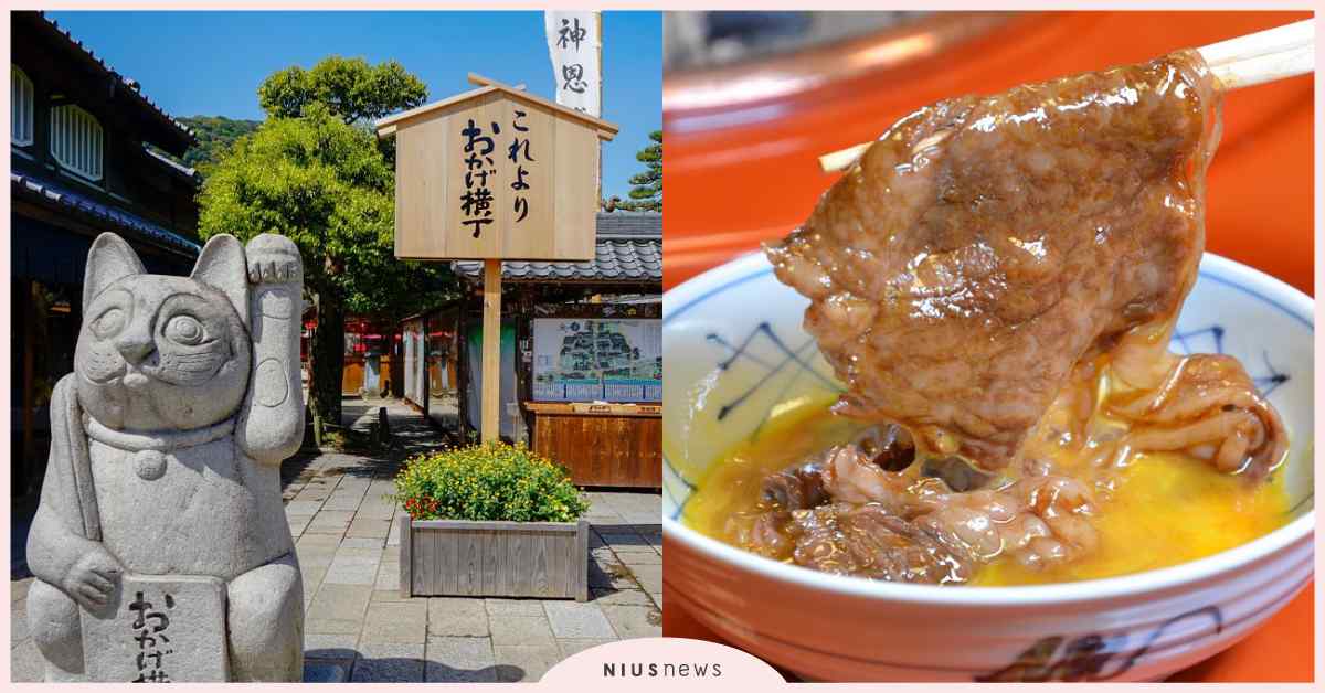 大啖頂級松阪牛、朝聖伊勢神宮，還有海女故鄉的鳥羽水族館！日本三重縣景點懶人包 日本、旅遊、親子旅遊、三重、伊勢神宮、松阪牛、水族館、點心餅親子主題樂園、忍者之森、壽喜燒、和田金