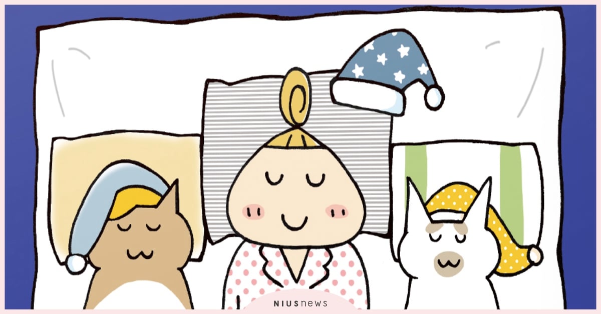 熟睡到天亮！跟貓咪老師學深眠的睡眠法 睡眠、失眠、漫畫、健康、疲勞、健忘、讀讀書