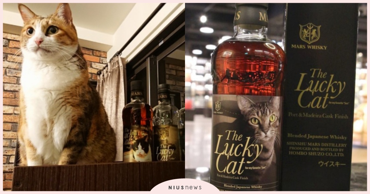 是真愛啊！本坊酒造「The Lucky Cat」威士忌系列，滿滿的貓奴浪漫日常 Whiskey Cat、日本威士忌、威士忌貓、本坊酒造、酒標、MARS The Lucky Cat