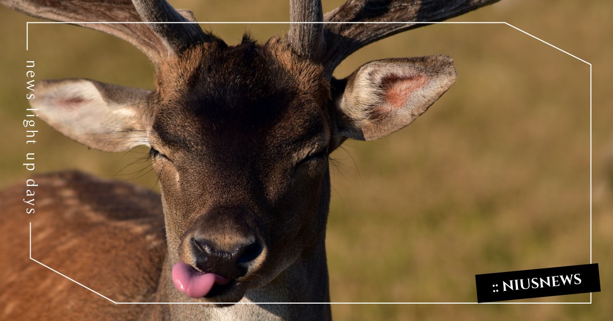 別不好意思拒絕別人，反正那些好意思為難你的人都不是什麼好人 人際關係、善良、心理、職場、好人、妥協、讀讀書