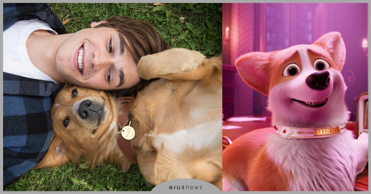 準備好衛生紙！6部「汪星人」主題電影推薦！| 奈傑的電影生活 劇情電影 、 小狗 、 浪浪 、 汪星人 、 女王的柯基 、 為了與你相遇 、 狗狗的旅程 、 為了與你相聚 、 為你取名的那一天 、 再見了！小Q