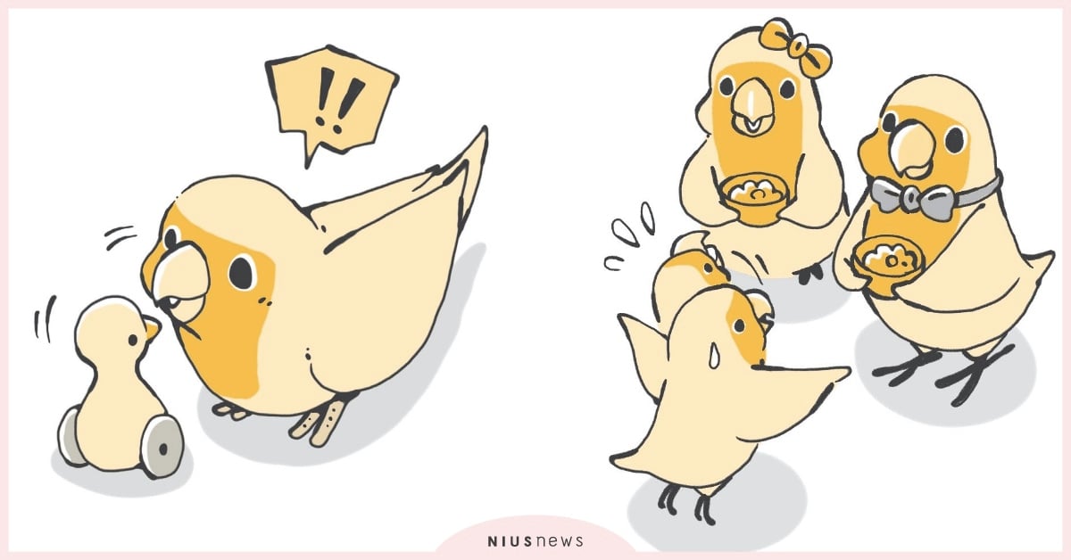 你知道家裡的鳥寶到底在想什麼嗎？「一舉一動都是出自愛」最誠實的鸚鵡行為百科 鸚鵡、養鳥、寵物、鳥寶、啾星人、寵物健康、寵物選品、讀讀書