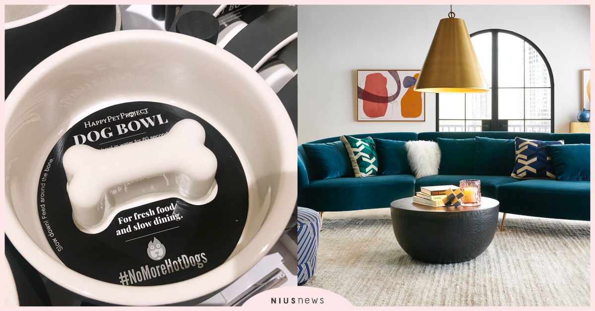 骨頭造型碗、寵物帳篷很可以！Crate & Barrel秋冬全走暖色、自然系！ Crate & Barrel、慢食碗、寵物用品、飼料盆、傢俱、居家裝潢、寵物選品