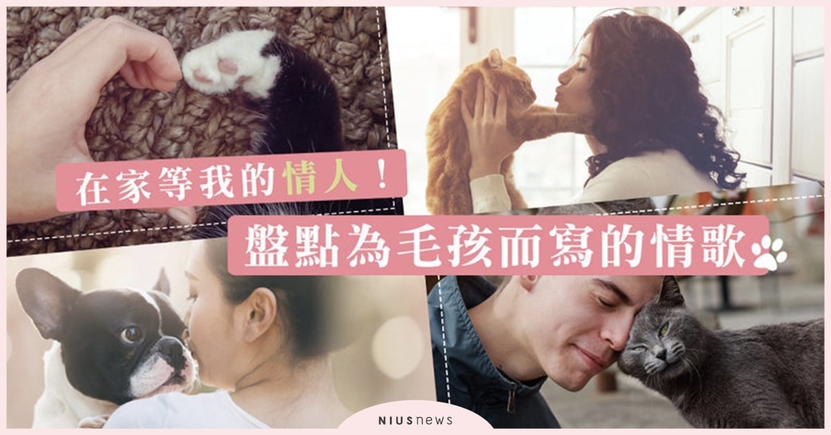 陪你懶懶過假日！盤點10首寫給毛小孩的情歌 吳志寧、旺福樂團、李英宏、魏如萱、蕭敬騰、毛不易、徐佳瑩、巨大的轟鳴