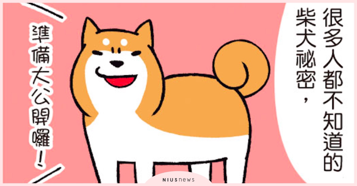 日本超人氣跩犬漫畫中文化啦！小眼睛柴犬妹妹的呆萌日常療癒百萬網友的心 柴犬、毛小孩、狗奴、寵物、漫畫、寵物選品、讀讀書