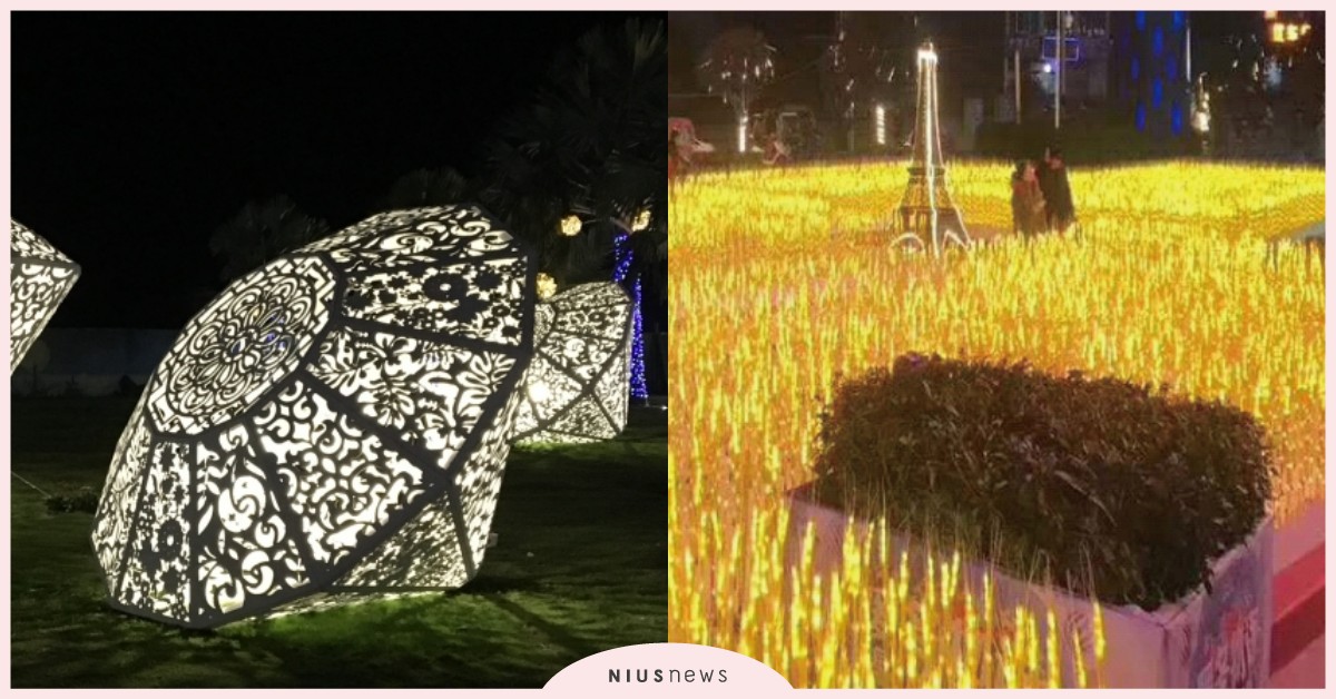 花蓮最美夜光花海「太平洋花彩節」，開幕煙火秀、9大主題燈不能不看！ 花蓮、花蓮旅遊、花蓮景點、太平洋花彩節、花蓮花海