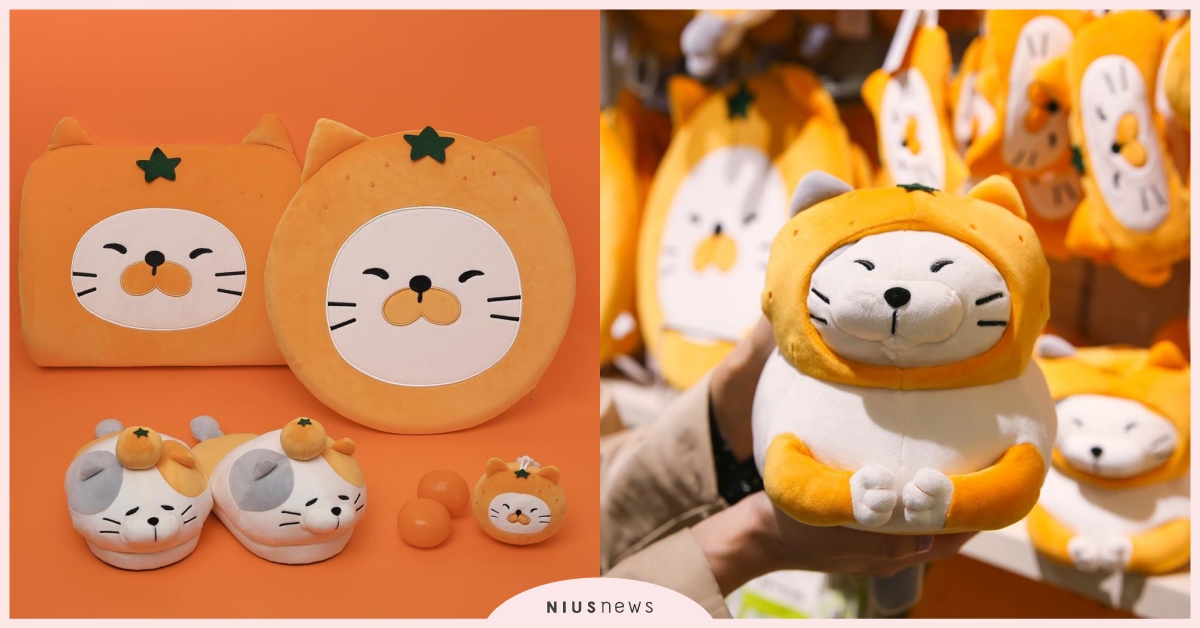 韓國BUTTER「橘子貓系列」可愛新品開賣中！玩偶、毛毯、坐墊等，奴才們請慎入 韓國BUTTER橘子貓、韓國BUTTER、貓咪商品、貓奴必敗必買、BUTTER버터