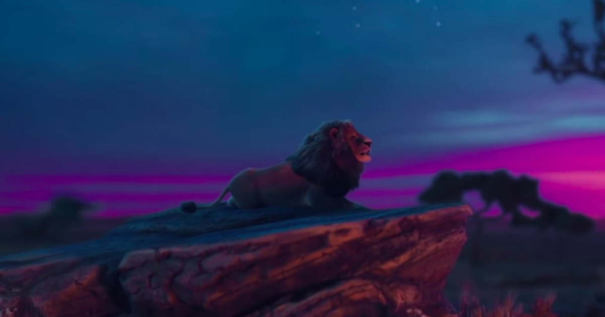 歡迎光臨：草原的萬獸之王產業鏈！野生動物與人類的貪婪慾望 非法販售、野生動物、動物保護、獅子、南非