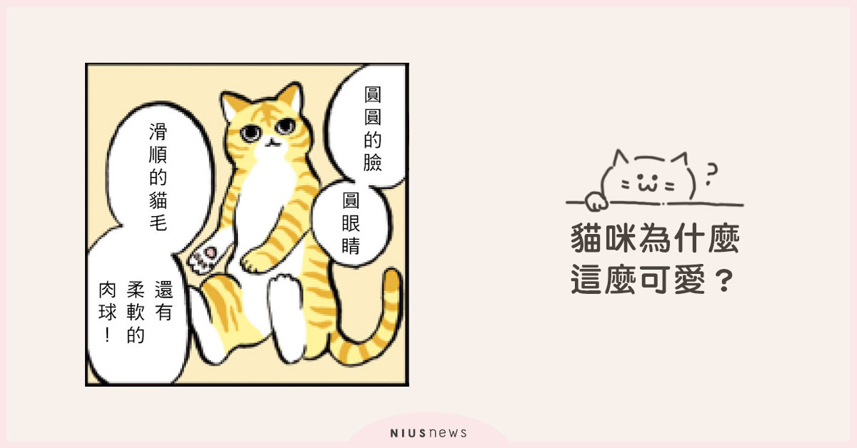 貓咪為什麼這麼可愛？科學可證明！ 貓咪、貓奴、貓咪心理學、可愛、讀讀書