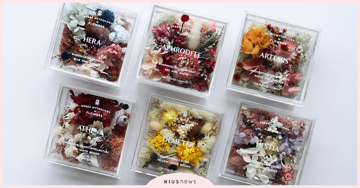 專為你而挑的禮物！挑禮物不苦手，T.F.C以希臘神話為名的絕美乾燥花藝 粉色選物店、花藝、設計、花盒、希臘故事、希臘之神、宙斯、雅典娜、乾燥花、美麗