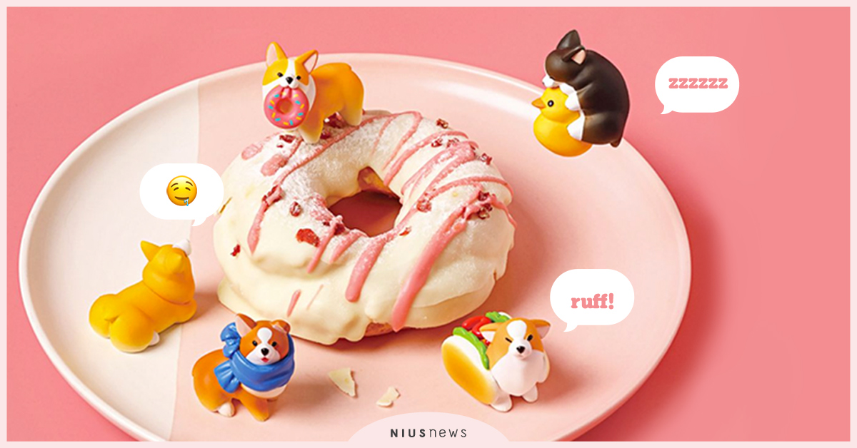 肥屁屁「柯基的日常」扭蛋超萌來襲！小短腿變身熱狗堡、眯眼洗澎澎模樣可愛到奴融化 Animal Life、柯基的日常、柯基、肥屁屁、小短腿、扭蛋、擺飾、可愛