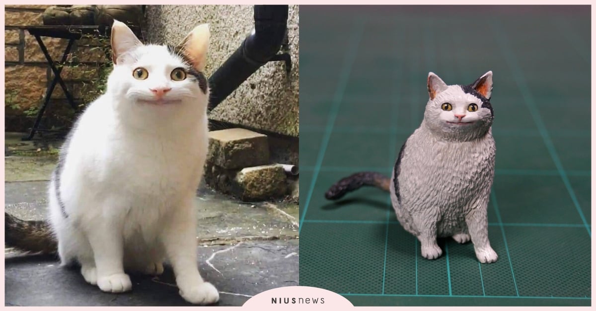 「尷尬又不失禮貌的微笑」實體化！「貓狗失敗攝影」公仔創作家再出擊！ meetissai、公仔、貓咪、謎樣、獵奇、擬真