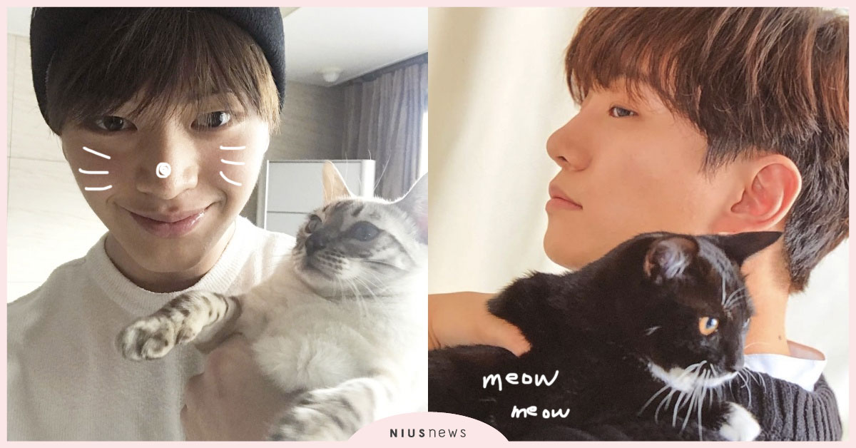 陸星材學貓語、俊昊給貓寫歌，失火也不逃的希范，盤點6位韓星鏟屎官！ 金希澈、陸星材、宋旻浩、姜丹尼爾、李俊昊