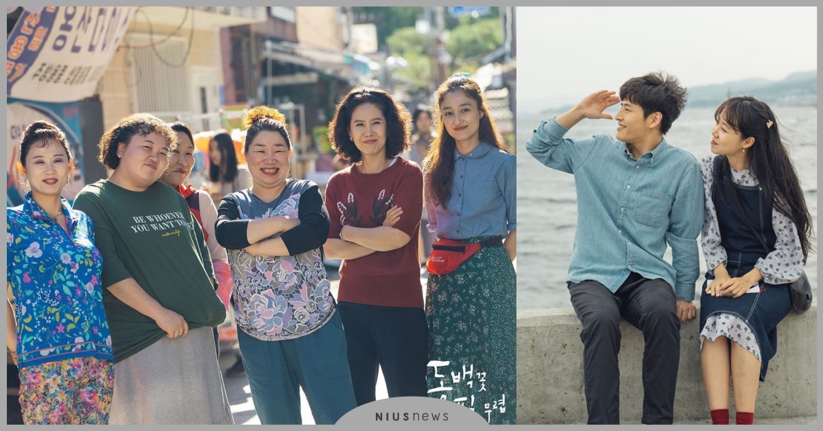 韓劇《山茶花開時》15句人生經典名台詞！冬柏：「我有脾氣，每個人都有脾氣！」 山茶花開時名台詞金句、山茶花開時劇情結局、山茶花開時結局、山茶花開時、孔曉振、姜河那、山茶花開時韓劇、姜河那退伍、三流之路、金知碩、孫淡妃、冬柏、黃龍植、姜弼久