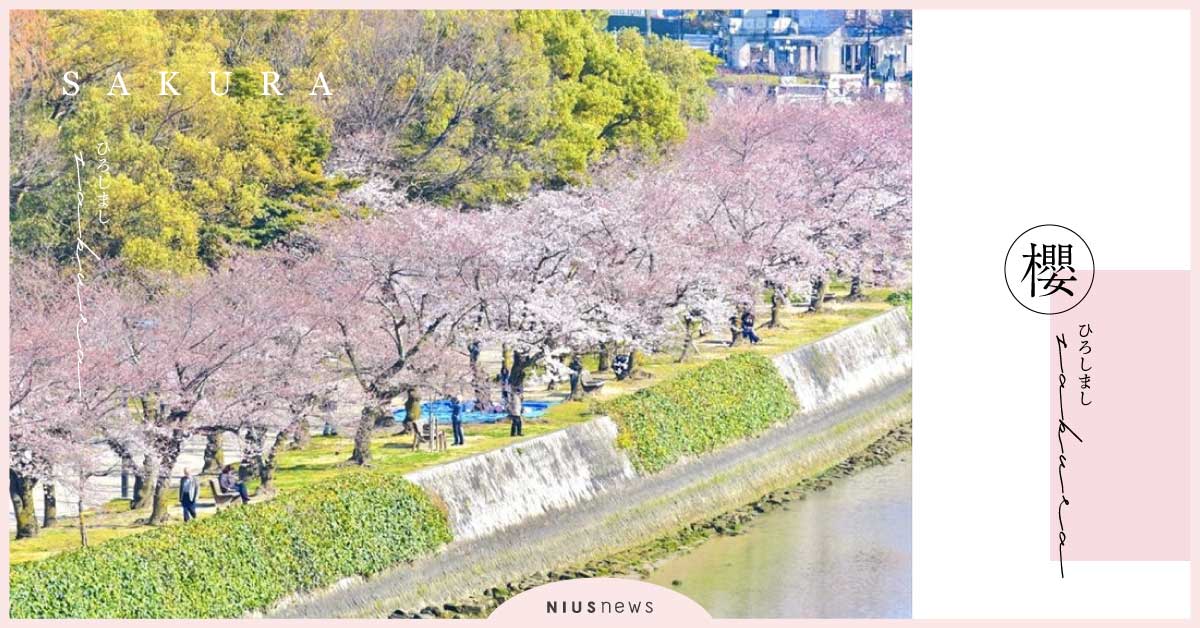 4月初廣島櫻花盛開！賞櫻勝地精選，交通、地點介紹！ 日本、廣島、賞櫻勝地