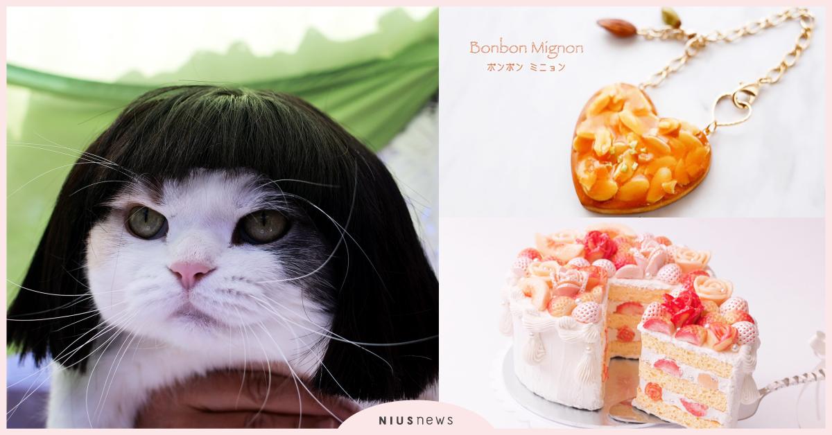日本療癒系貓咪展覽、繽紛甜點藝術展12月登場！貓咪撒嬌討摸摸的模樣會不會太推坑？ 日本、貓咪休假展、黏土甜點藝術展