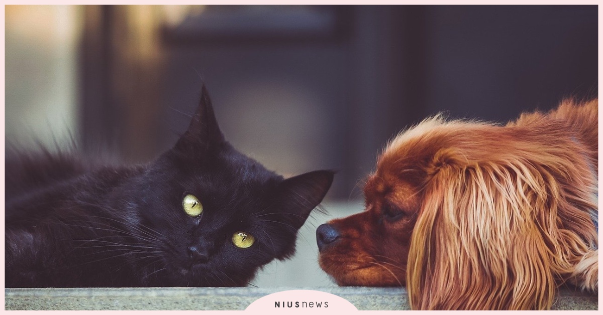 認識一個陌生的人，是件新奇不讓人害怕的事─但愛就會 感情、人際關係、溫柔、讀讀書