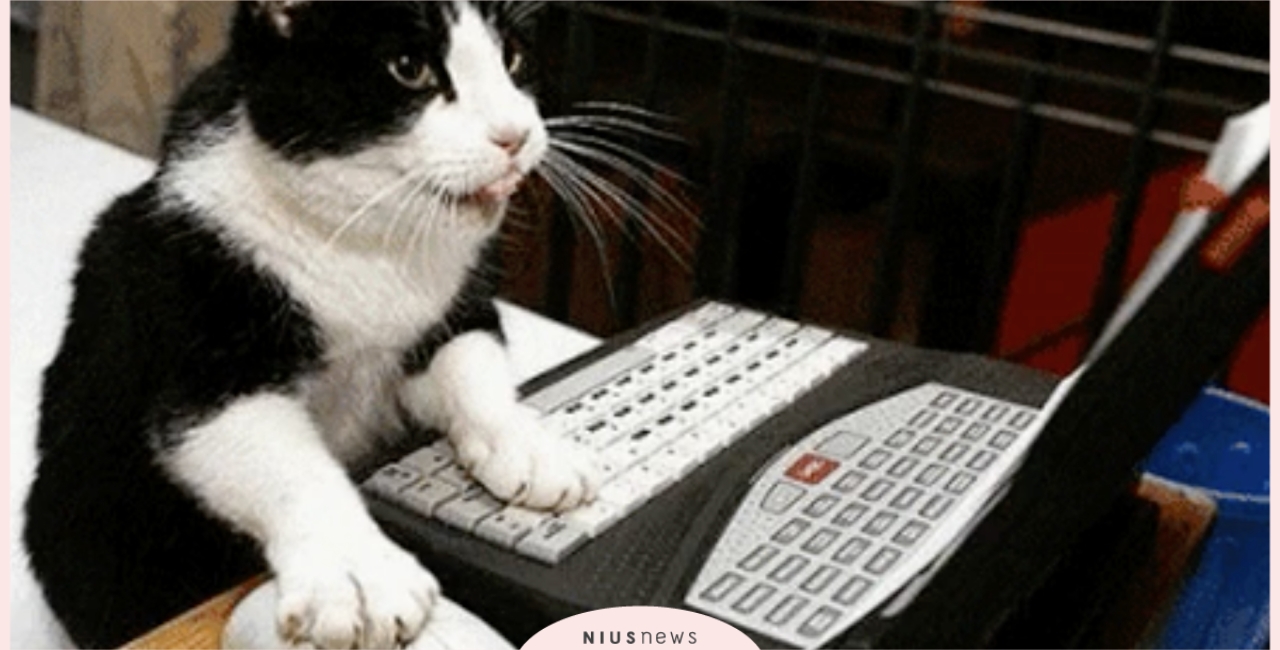 越來越想離職？心理測驗「工作帶來的壓力指數」，憑直覺選一扇門看壓力來源 彩虹光、彩虹光劉佳怜、心理測驗、工作、工作壓力