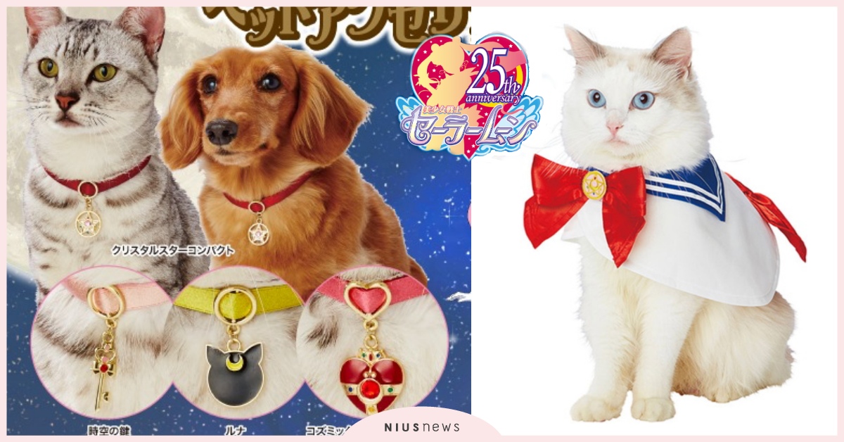 讓主子變身吧！美少女戰士「寵物系列周邊」，露娜貓屋、水手服滿足奴才扮裝控！ 美少女戰士、PETIO、寵物周邊、貓屋、逗貓棒、水手服、貓、狗