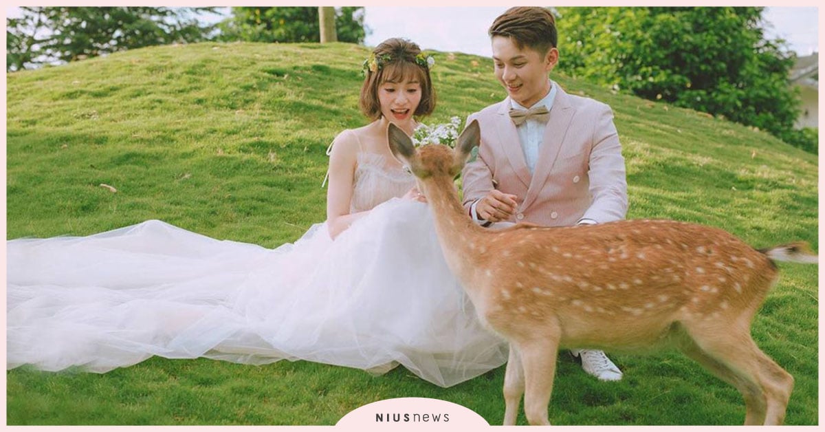 帶小孩去斑比山丘放電！痞客邦2019年親子類爆紅竄升關鍵字 親子妞、親子玩樂、親子旅遊、斑比山丘、Bambi Land