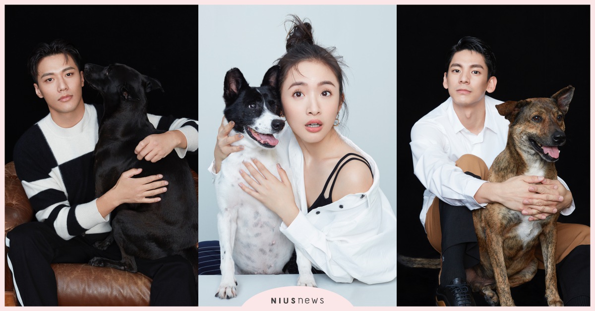 周子娛樂年曆找毛小孩一起拍照！林依晨、張睿家、林柏宏等人擁抱狗狗的畫面可愛破表！ 周子娛樂、毛小孩、林依晨、張睿家、林柏宏
