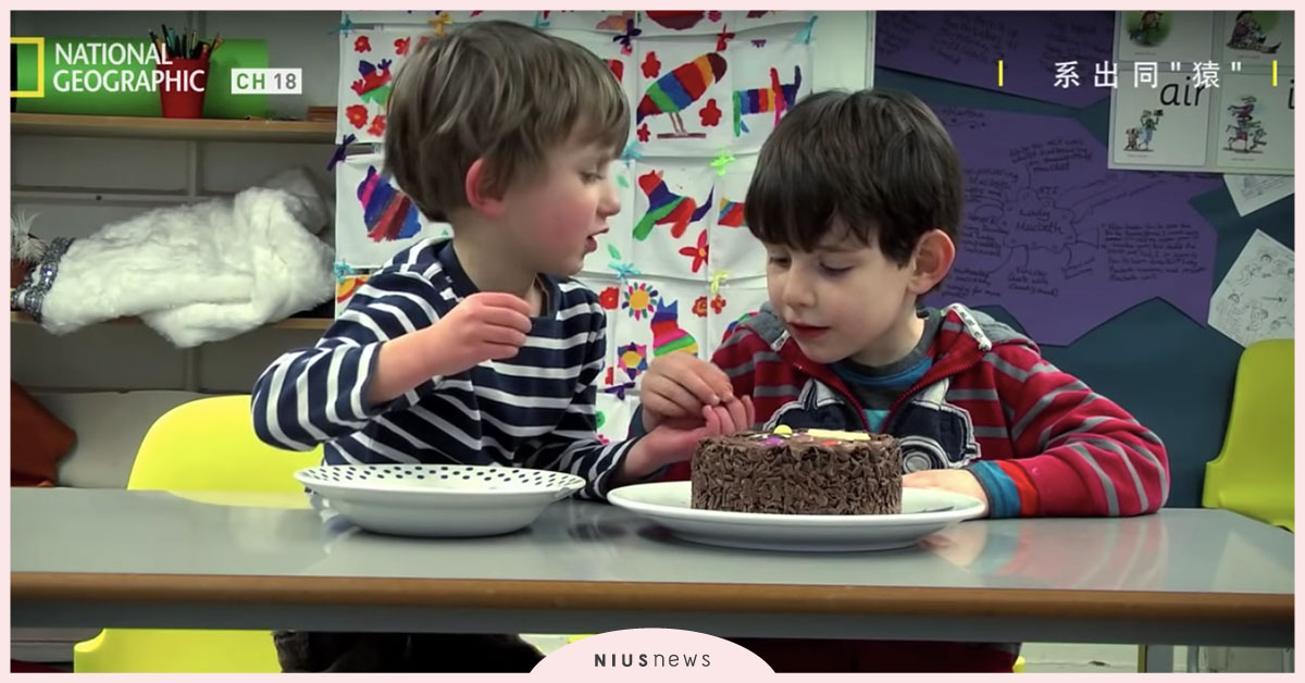 「說謊」其實是天性！國家地理頻道實驗：「人類幼兒和黑猩猩有多像！」 親子妞、幼兒、說謊、天性、猿類