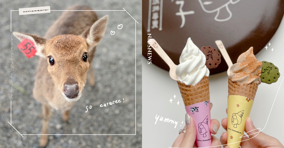 台版奈良「斑比山丘」5大亮點！週末限定北海道十勝霜淇淋、日系鬆軟甜甜圈進駐 斑比山丘、宜蘭、冬山、景點、小鹿