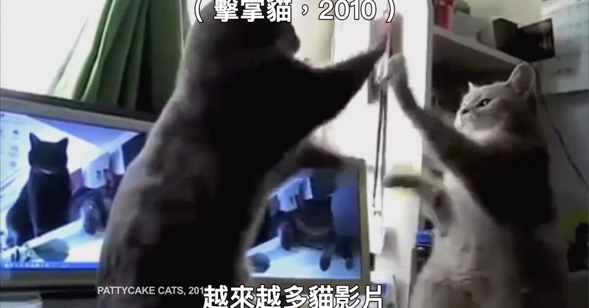 搞不懂貓咪影片魅力的公司即將被淘汰？ 還不快跟上「貓行銷」的風潮！ 加拿大、約翰街公司、 john st.、行銷廣告、貓影片、搞笑