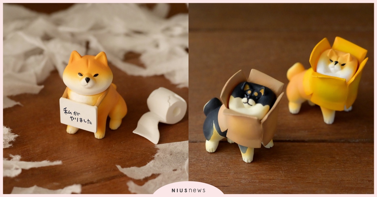 「倫家鼻是故意的嘛！」超萌柴犬固執、調皮模樣變身扭蛋公仔，神手說出柴奴無奈心聲！ shigemochi_kun、mochi、柴犬、公仔、扭蛋