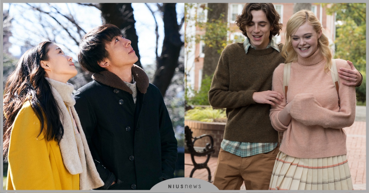 2020「情人節約會」愛情電影推薦！「甜茶」提摩西夏勒梅陪你漫步雨天紐約！ 雨天．紐約、尋愛夢工廠、愛情人形、就愛斷捨離、電影