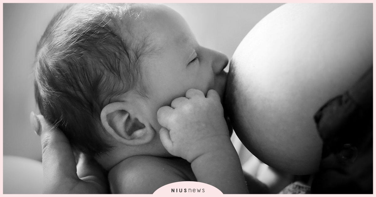 母乳捐贈比你想像的更嚴謹！小孩喝別人母奶的5個風險 親子妞、母奶、母乳庫、母乳、台灣母乳協會