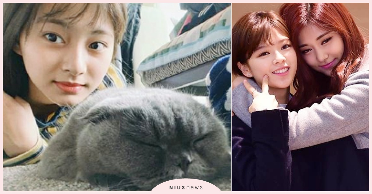 TWICE「子瑜」調皮偷拍萌貓！大素顏入鏡公開真實日常，粉絲一看就猜出打卡點 子瑜、TWICE、子瑜素顏、韓星素顏、定延