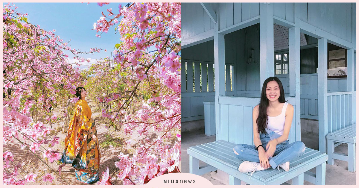 宜蘭輕旅行！在地人帶路的私房推薦，爆紅「枝垂櫻」和古早味「香辣麵」不能錯過 櫻花季、宜蘭、羅東、冬山、三星、宜農牧場、安農溪、枝垂櫻、波斯菊花海、天送埤車站、陳記當歸鴨、蘭陽香辣麵、景點、美食、賞花、櫻花