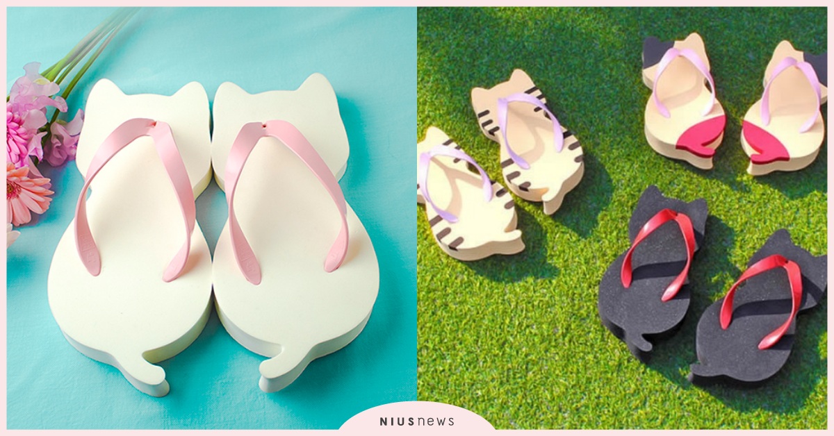 腫抹口以踩貓貓！日拖鞋品牌推「貓咪夾腳拖」上千貓奴爆笑：「終於可以支配主子啦！」 貓、貓奴、拖鞋、造型、可愛