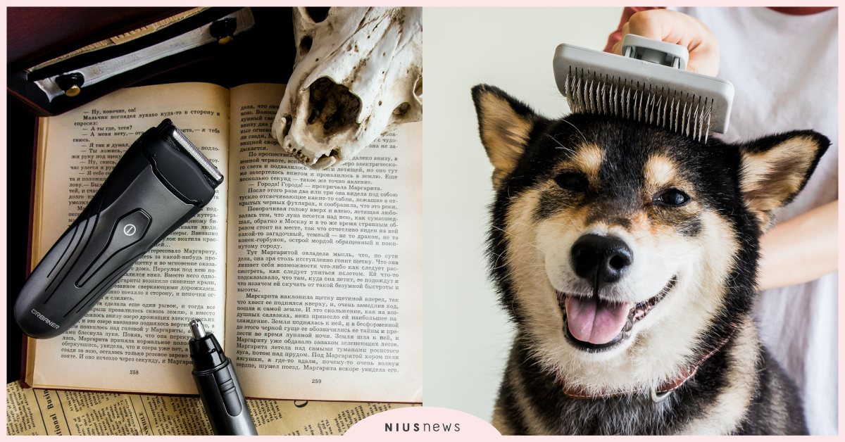 為毛小孩「修腳底毛」、幫男友挑刮鬍刀是種愛的表現！「奧本電剪」溫柔地跟毛毛說再見 粉墨誌47、說再見、奧本電剪、誠品生活expo、除毛