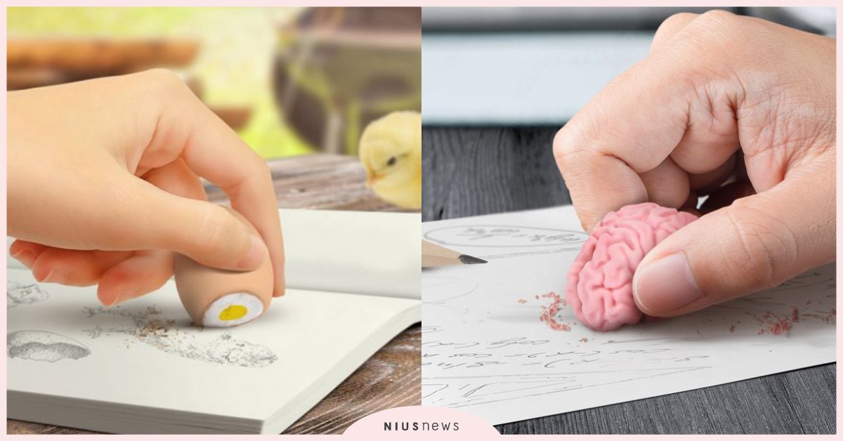 用大腦、雞蛋擦鉛筆字跡？！造型超奇特的「橡皮擦」讓人視覺大衝擊 橡皮擦、擦布、文具、大腦、雞蛋、耳朵、文具控