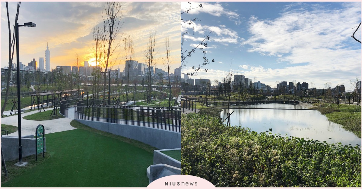 南港新地標！新新公園「落羽松森林秘境」，濕地公園、挺水植物區成為東區散步新選擇 台北市、台北景點、南港、南港景點、新新公園