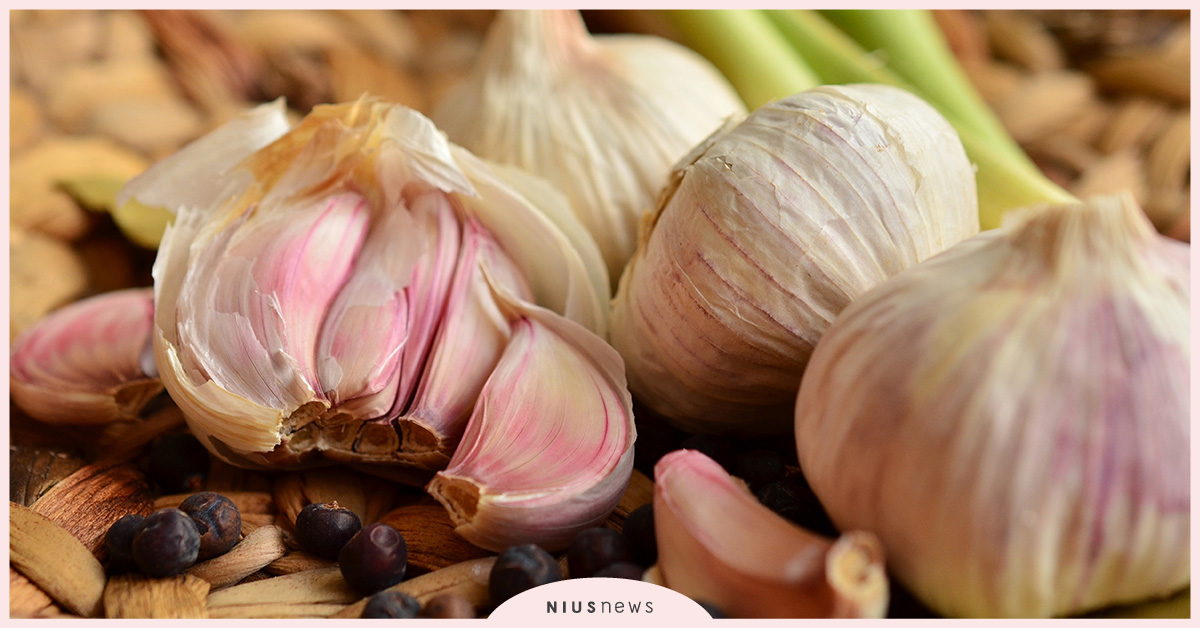 自製迷迭香化妝水能抗老化！居家必備的5種花草 花草、藥草、化妝水、軟膏、居家